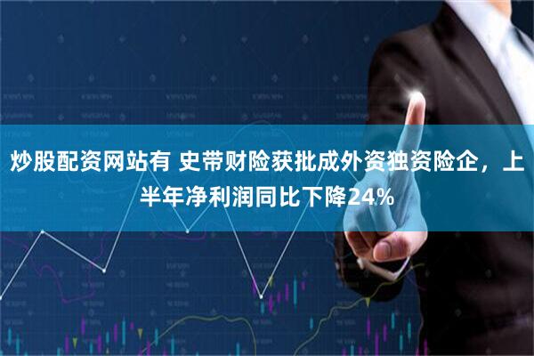 炒股配资网站有 史带财险获批成外资独资险企，上半年净利润同比下降24%